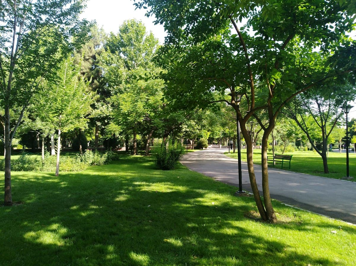 Espaces Verts & Lotissements